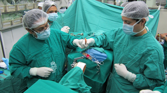 First procedure with the NeuroMate stereotactic system